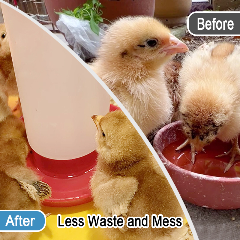 Modern Poultry Farming: Key Aspects, Challenges and Future Modern Poultry Farming: Key Aspects, Challenges and Future