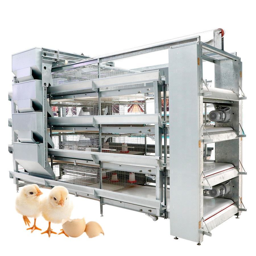 Poultry Farming Equipment Production and Manufacturing: Technology Empowers, Unlocking a New Paradigm for Large-Scale Breeding Poultry Farming Equipment Production and Manufacturing: Technology Empowers, Unlocking a New Paradigm for Large-Scale Breeding