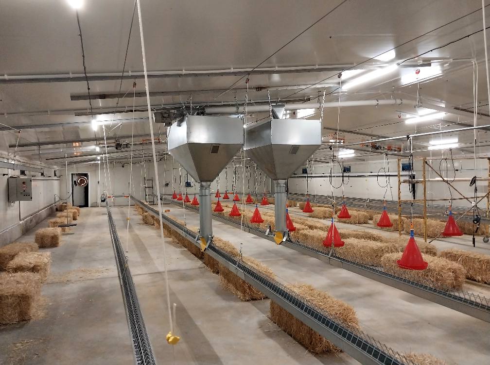 Poultry Farming Equipment Production and Manufacturing: Technology Empowers, Unlocking a New Paradigm for Large-Scale Breeding Poultry Farming Equipment Production and Manufacturing: Technology Empowers, Unlocking a New Paradigm for Large-Scale Breeding