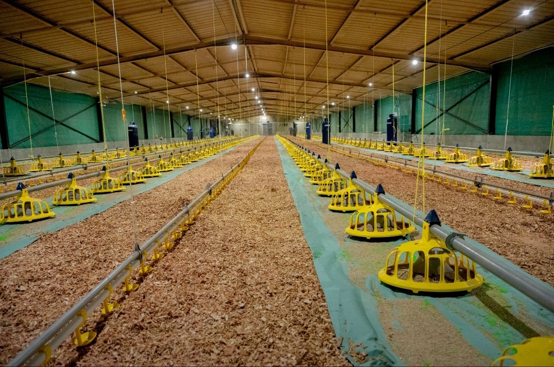 Feeder Pans: The Efficient, Waste-Reducing Feeding Solution for Poultry Farms Feeder Pans: The Efficient, Waste-Reducing Feeding Solution for Poultry Farms