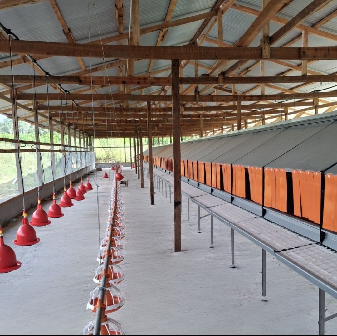 Feeder Pans: The Efficient, Waste-Reducing Feeding Solution for Poultry Farms Feeder Pans: The Efficient, Waste-Reducing Feeding Solution for Poultry Farms