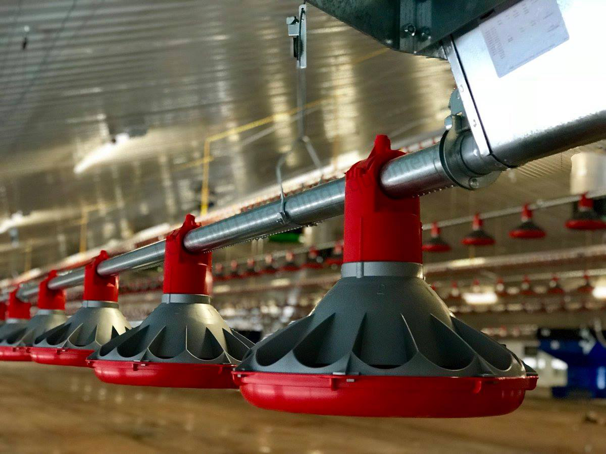 Feeder Pans: The Efficient, Waste-Reducing Feeding Solution for Poultry Farms Feeder Pans: The Efficient, Waste-Reducing Feeding Solution for Poultry Farms