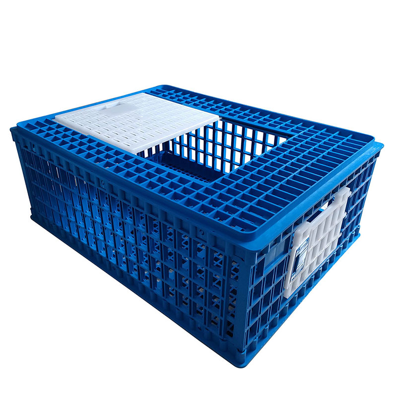 Chicken Transport Cage Foldable Poultry Farms Transport Boxes Plastic Broiler Adult Chicken Transfer Crate Ph-243