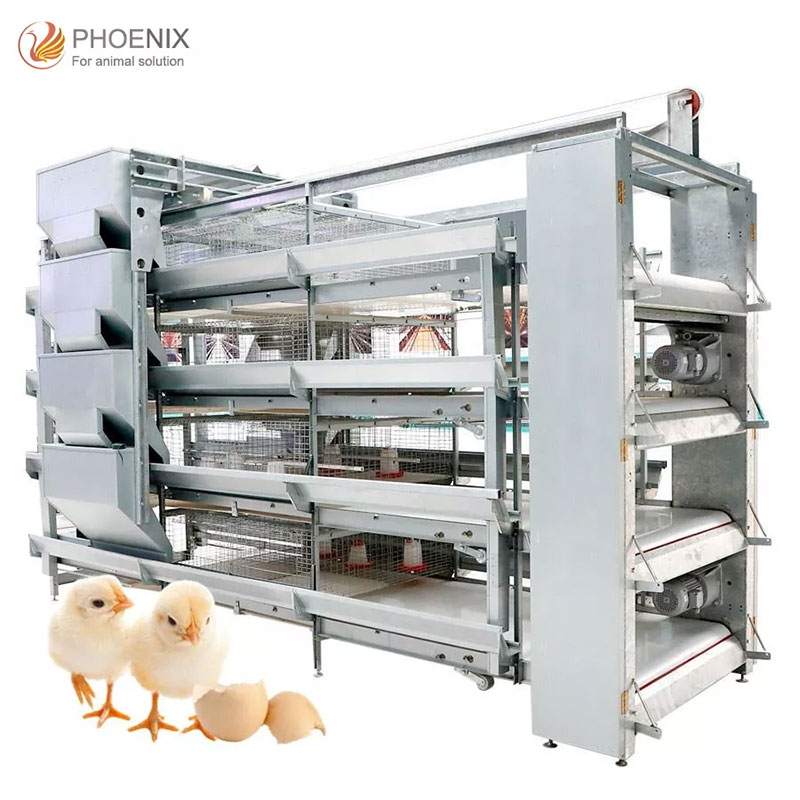 H Type Chicken Animal Cage 3 Tier 4 Tier 5 Tier Automatic Chicken Layer Cage