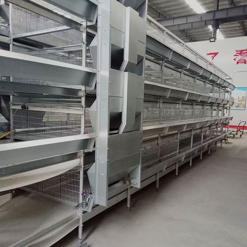 H Type Chicken Animal Cage 3 Tier 4 Tier 5 Tier Automatic Chicken Layer Cage