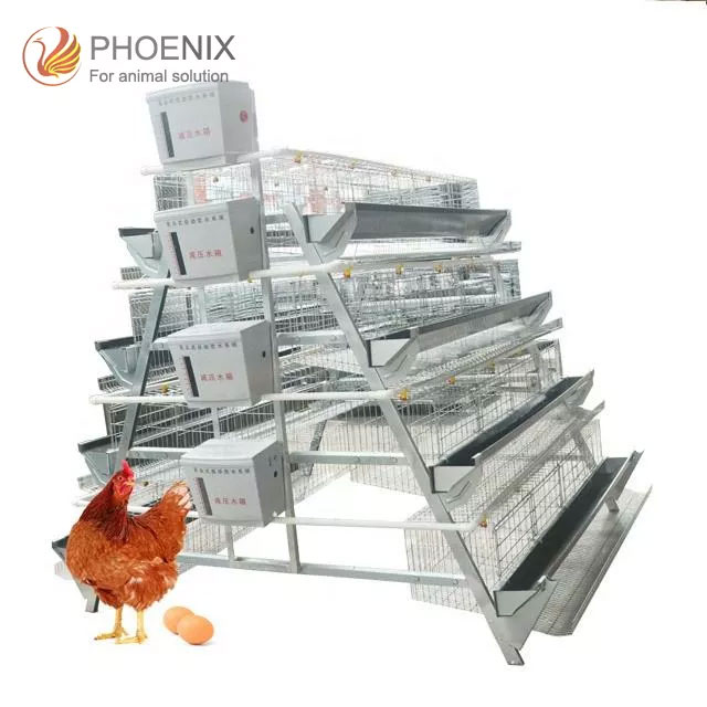 A Type Chicken Animal Cage H Type Automatic Chicken Layer Cage
