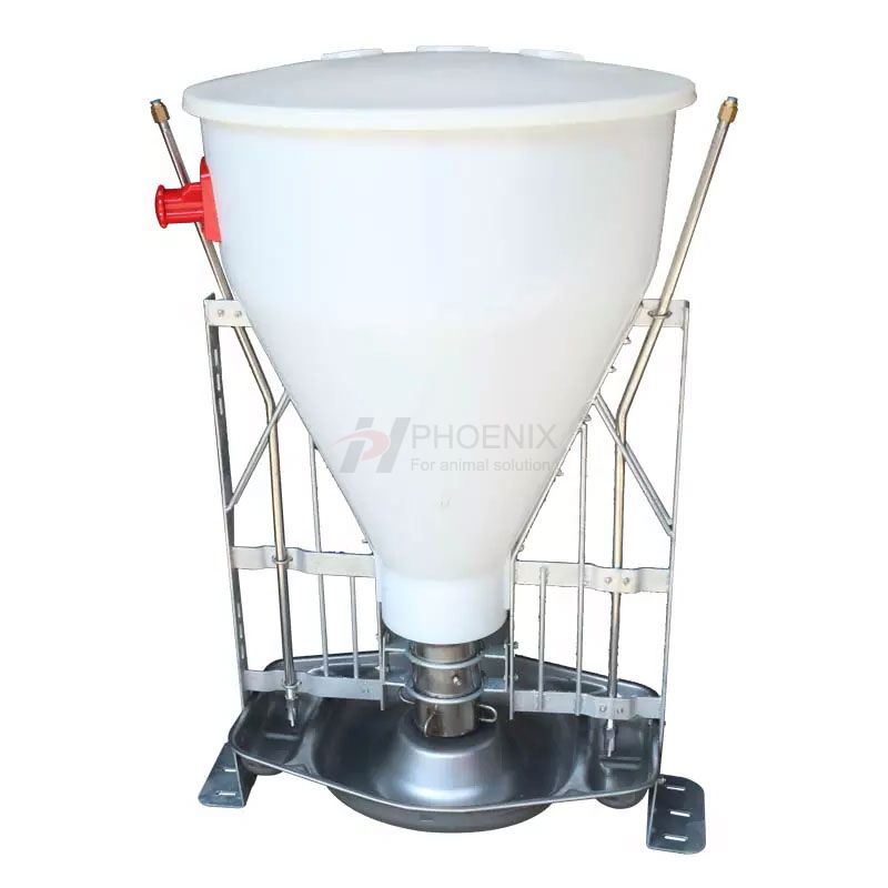 Automatic Pig Dry And Wet Feeder Stainless Steel Pig Farm Equipment Feeding System