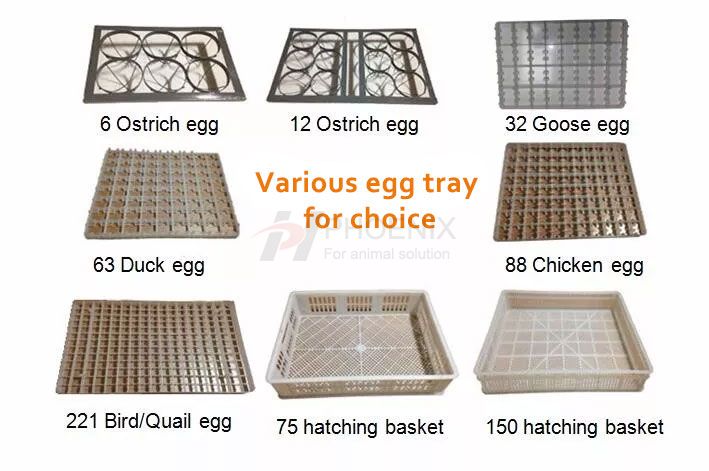 High Quality Automatic 2112 Egg Incubator Hatch 2000 Chicken Egg Incubator Setter and Hatchery Machine Industrial Incubator Series(2112-5280 eggs) PH-F21A