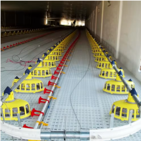 Innovative Farm Equipment: Floor Panels and Poultry Watering Solutions
