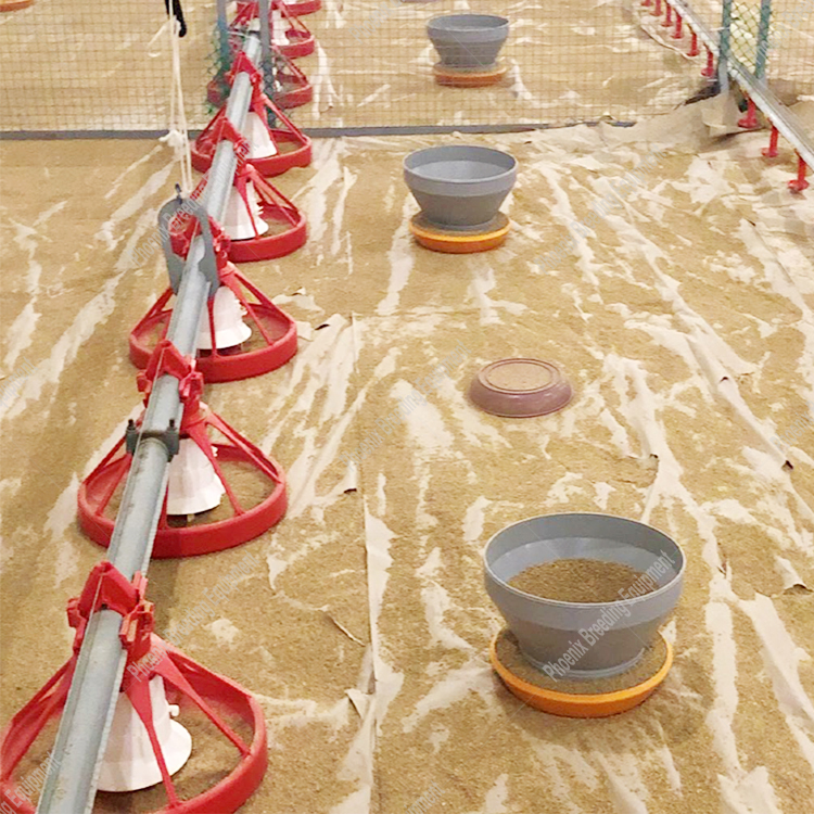 Automatic Poultry Feeder for Chicken, Duck, and Quail: A Comprehensive Guide to Plastic Pan Feeding Systems for Floor-Mounted Poultry Houses
