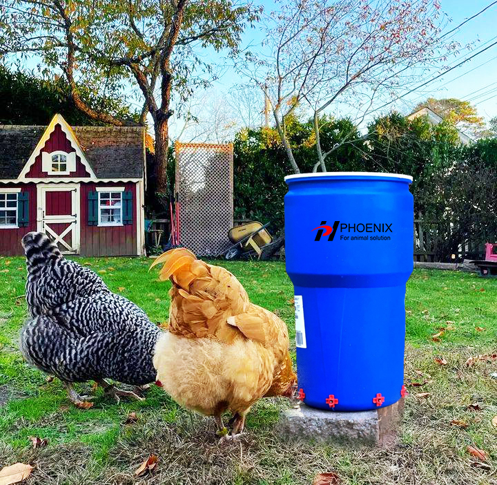 Backyard Poultry Farming Equipment