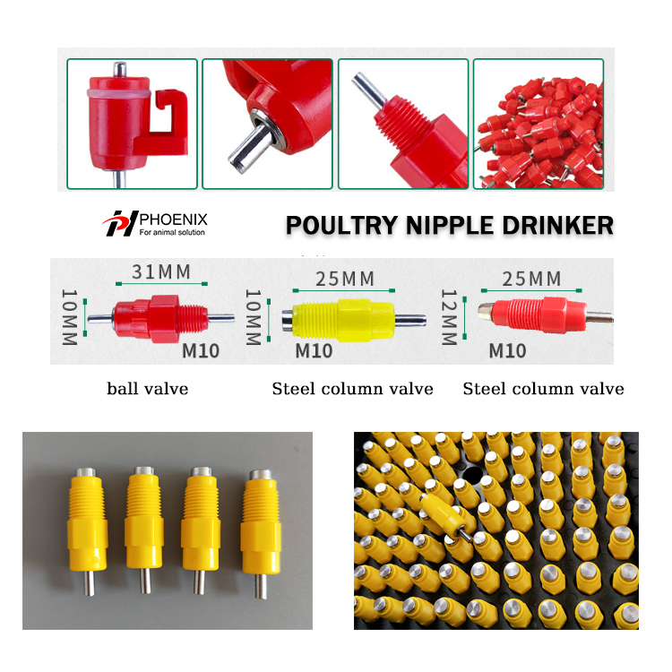 Comparative Analysis of Different Types of Waterers: Nipple Drinkers, Bell Drinkers, and Plastic Bucket Waterers