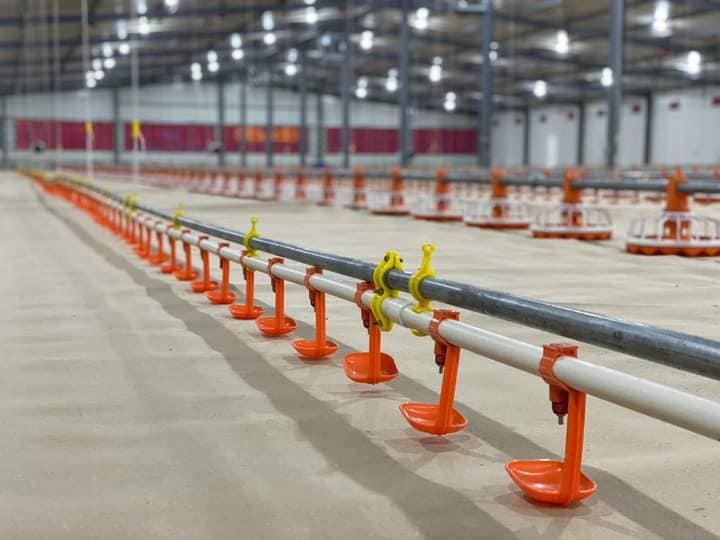 Premium Poultry Drinking Systems – Efficient, Durable & Cost-Effective Solutions