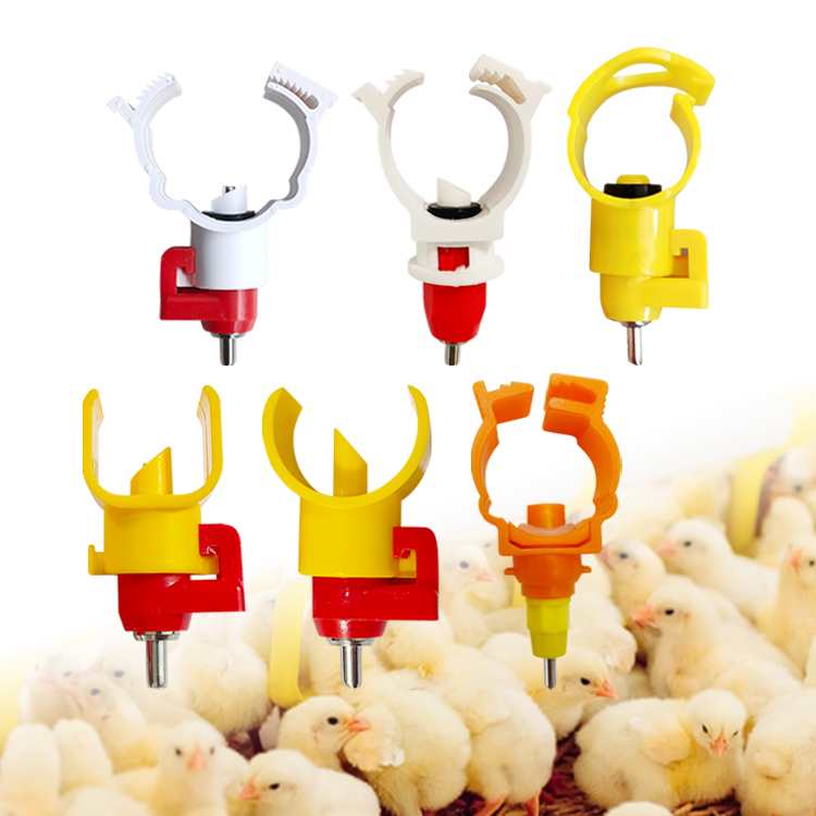 Automatic Poultry Drinking System Broiler Chicken Water Nipple Drinker