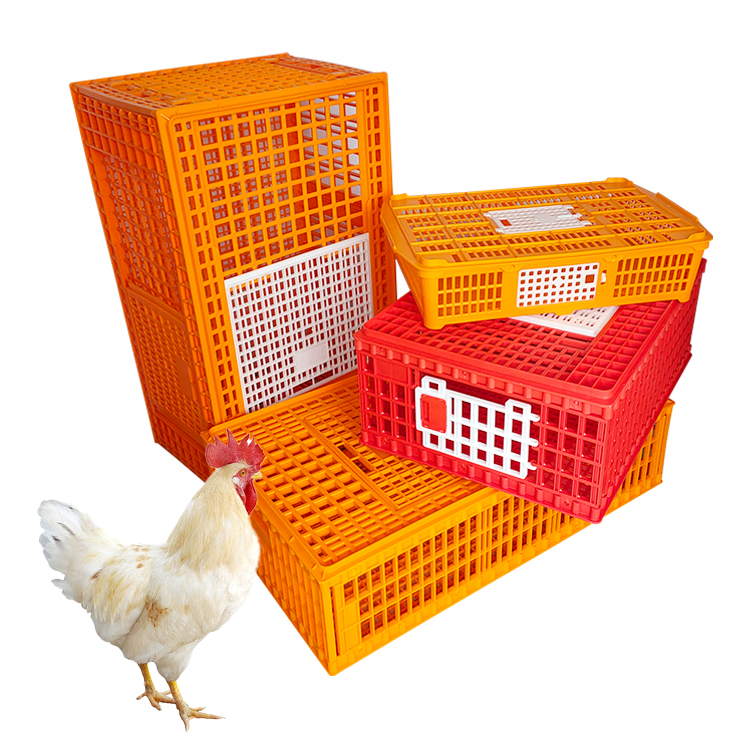 Plastic Live Poultry Transport Cage for Turkey Broiler Hen Quail