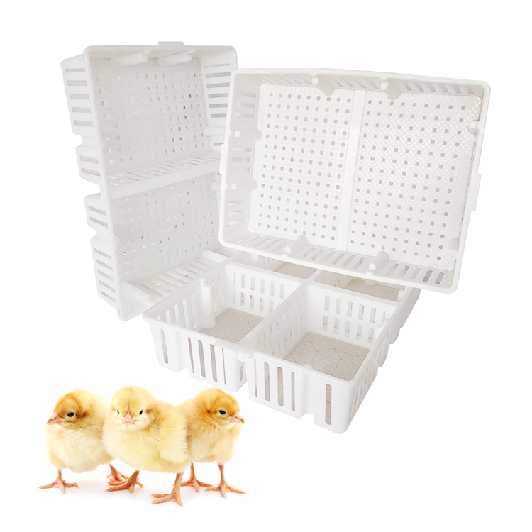 Plastic Chick Transport Cage for Day Old Chickens
