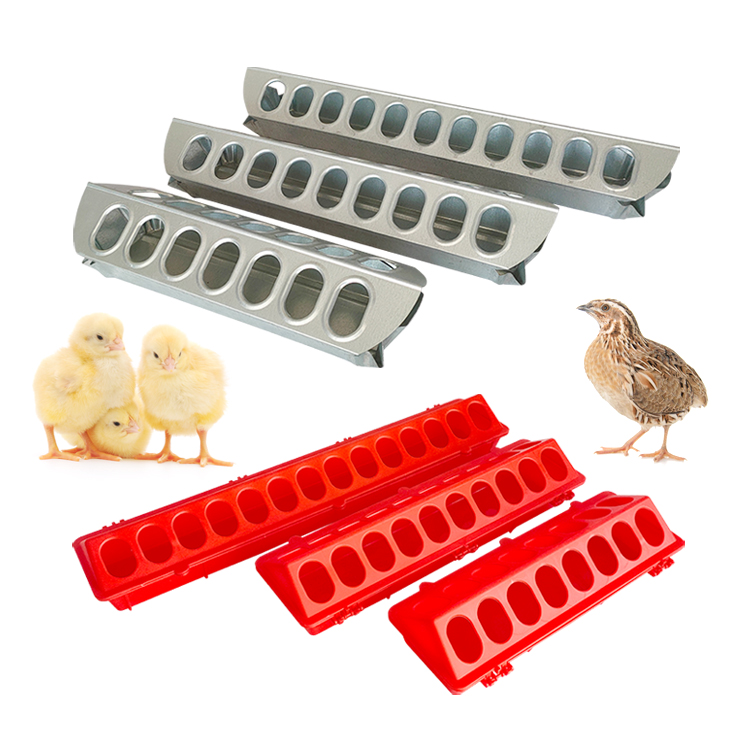 Plastic Metal Chick Feeder Trough