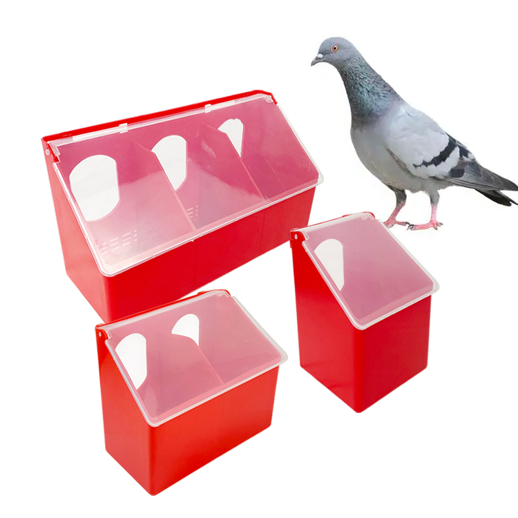 Pigeon Feeder and Drinker