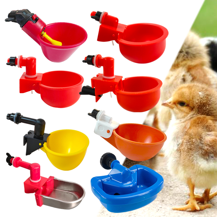 Revolutionizing Backyard Farming with Automatic Water Cups