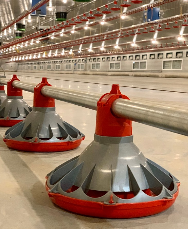 Optimizing Broiler Farming Efficiency: The Automatic Feeding Pan – A Game-Changer for Poultry Producers