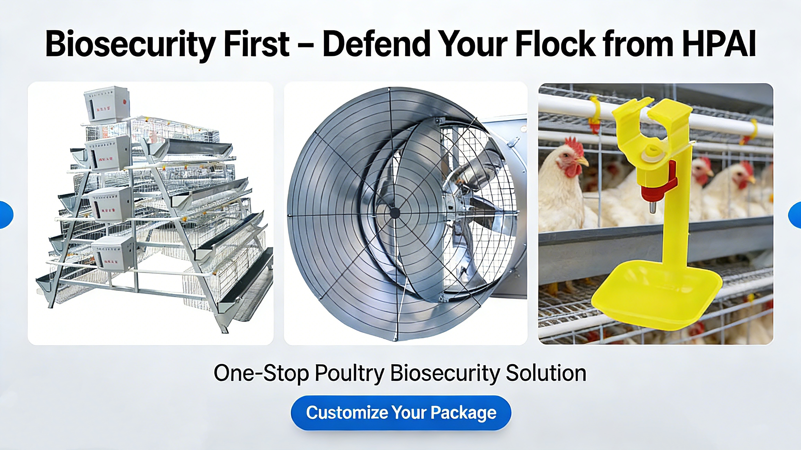 Biosecurity First: Defend Your Poultry Flock from HPAI with Phoenix’s Precision Poultry Equipment