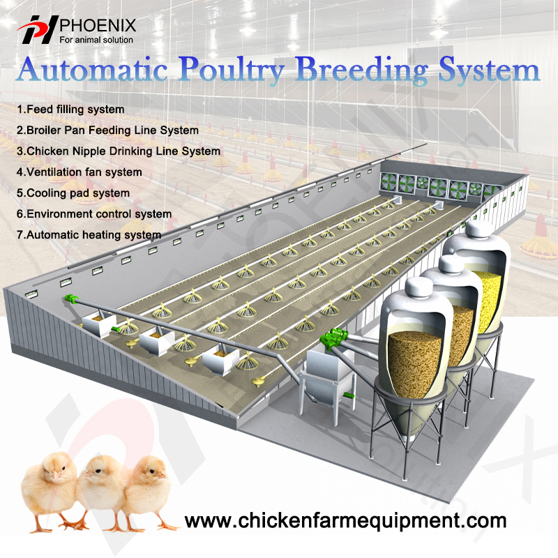 Automatic Poultry Equipment: 1 Person Manages 30,000 Poultry, Saves Electricity & Labor, Improves Survival Rate