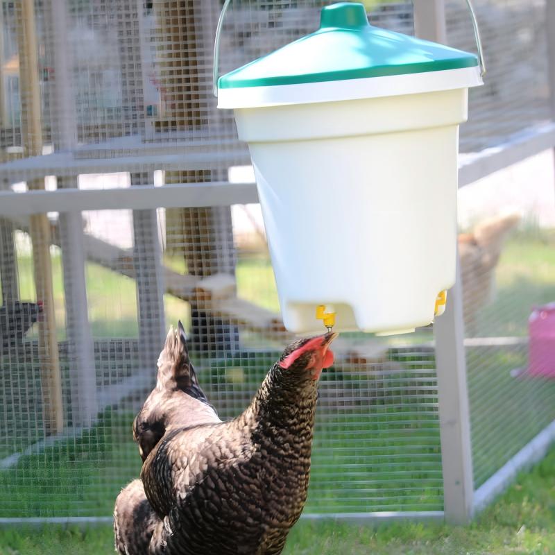 Backyard Farming Equipment: Complete Manual Feeder and Drinker Setup for Small Poultry Flocks