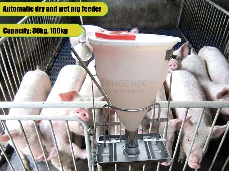 Automatic Pig Dry And Wet Feeder Stainless Steel Pig Farm Equipment Feeding System