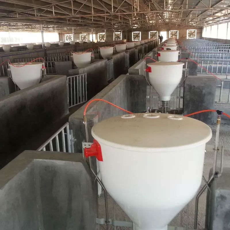 Automatic Pig Dry And Wet Feeder Stainless Steel Pig Farm Equipment Feeding System