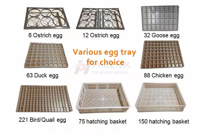 incubator