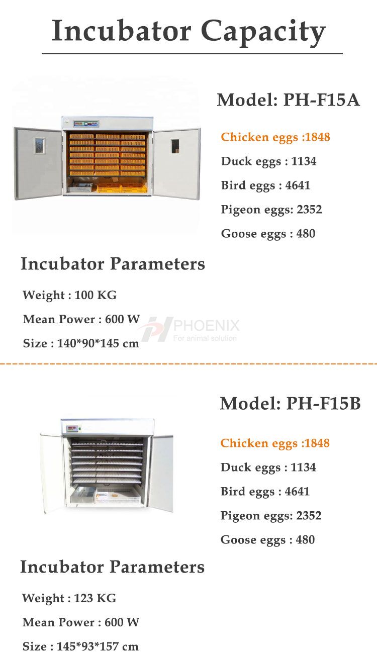 Automatic Egg Incubator Hatch 1848 Chicken Egg Incubator Setter and Hatchery Machine PH-F15