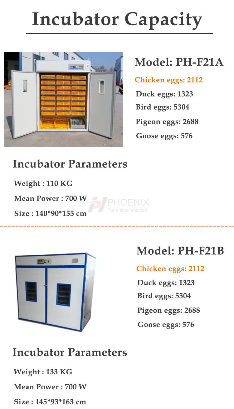 High Quality Automatic 2112 Egg Incubator Hatch 2000 Chicken Egg Incubator Setter and Hatchery Machine PH-F21A