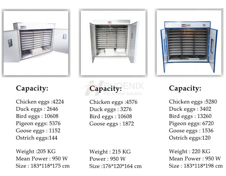 High Quality Automatic 2112 Egg Incubator Hatch 2000 Chicken Egg Incubator Setter and Hatchery Machine PH-F21A