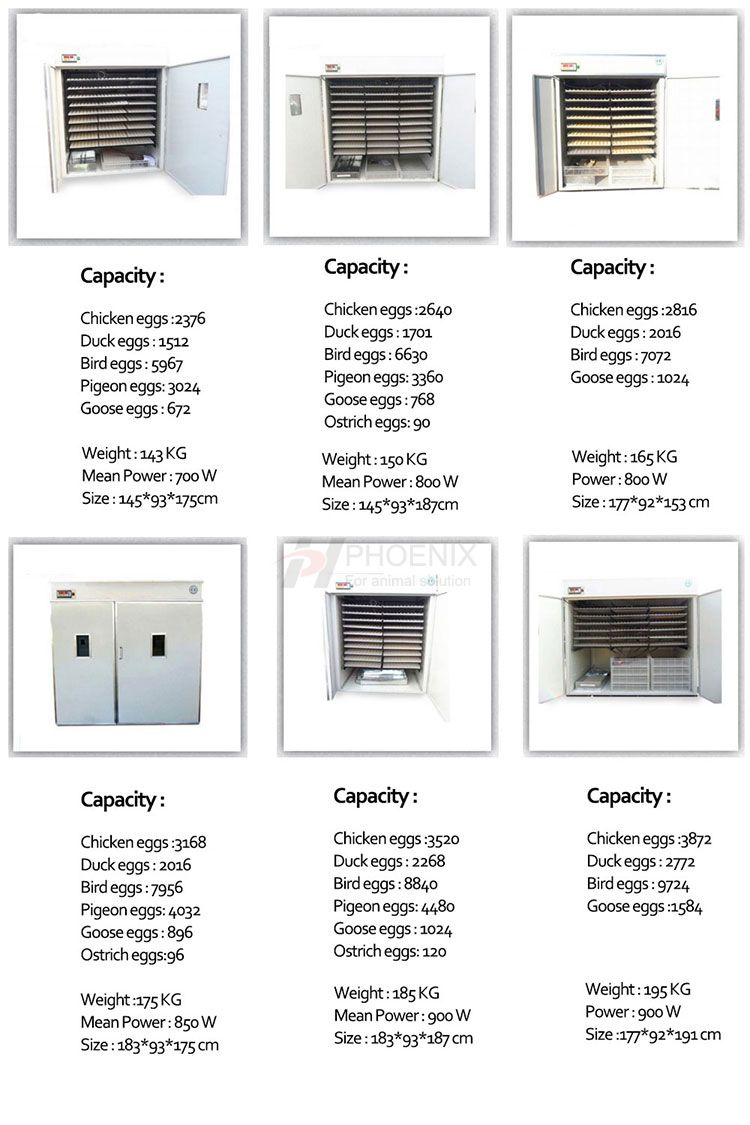 High Quality Automatic 2112 Egg Incubator Hatch 2000 Chicken Egg Incubator Setter and Hatchery Machine PH-F21A