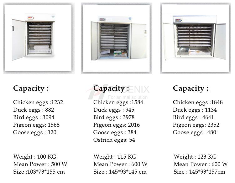 Automatic Egg Incubator Hatch 1232-1848 Chicken Egg Incubator Setter and Hatchery Machine PH-F15