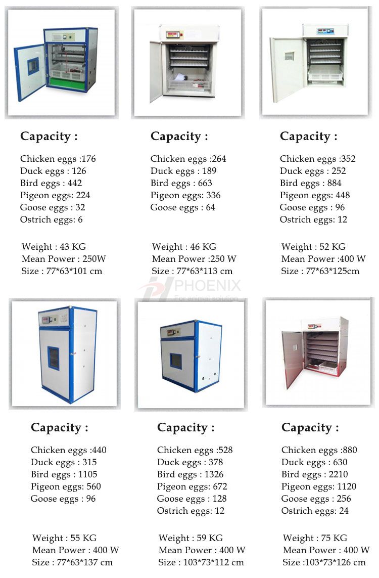 Automatic Egg Incubator Hatch 528 Chicken Egg Incubator Setter and Hatchery Machine PH-F05